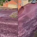 Fakta Dibalik 22 Juta Liter Wine Banjiri Pemukiman Warga di Portugal