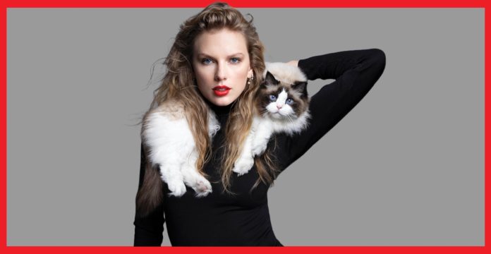Lucunya Kucing Taylor Swift Debut Jadi Sampul Majalah Time
